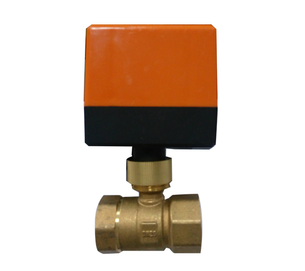 2018年度公司組織三清山旅游活動(dòng)